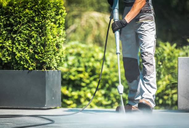 Best House Exterior Washing  in South Fallsburg, NY